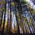 hiking the outdoors