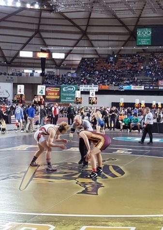Prairie Wrestling at State