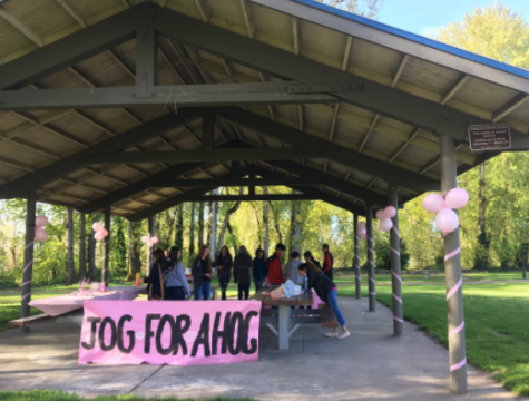 Jog for Hogs