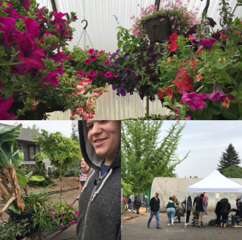 Annual Plant Sale