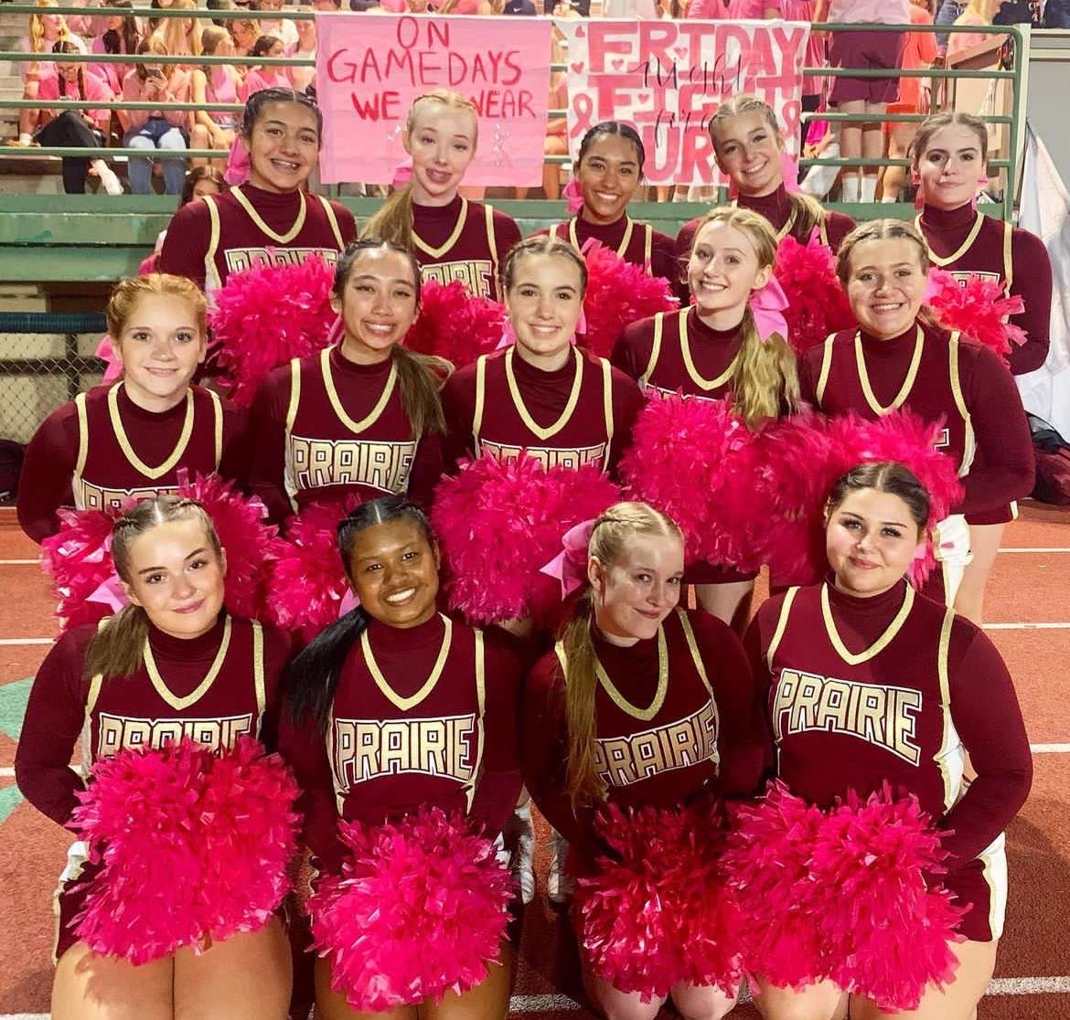 Pink out game against Mountain View!