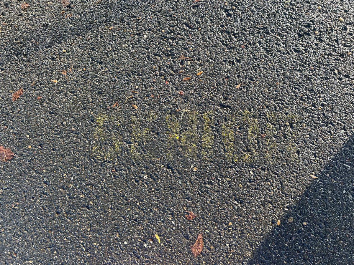 Faded Senior label on parking spaces
