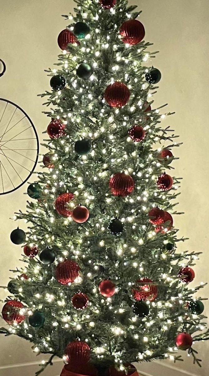 Christmas tree stands decorated in honor of the holidays.
