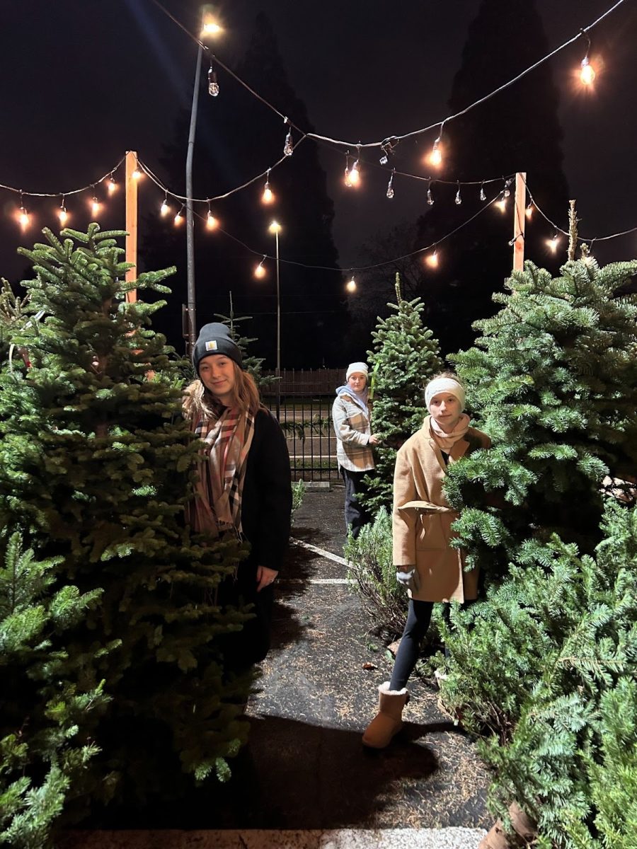 Festive season is here! Picking out trees at Grace Christmas Trees.