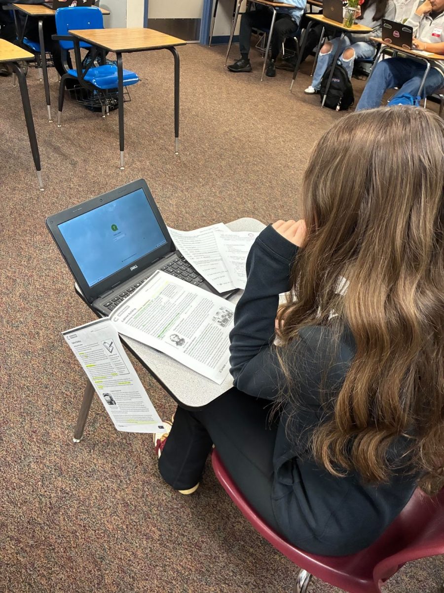 “Senior Trinity Cates, overwhelmed with procrastination along with continuous assignments piling up, her motives toward school and the end goal goes down."



