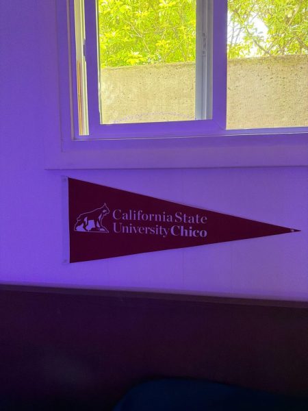 California State University banner above bed headboard in Max’s room
